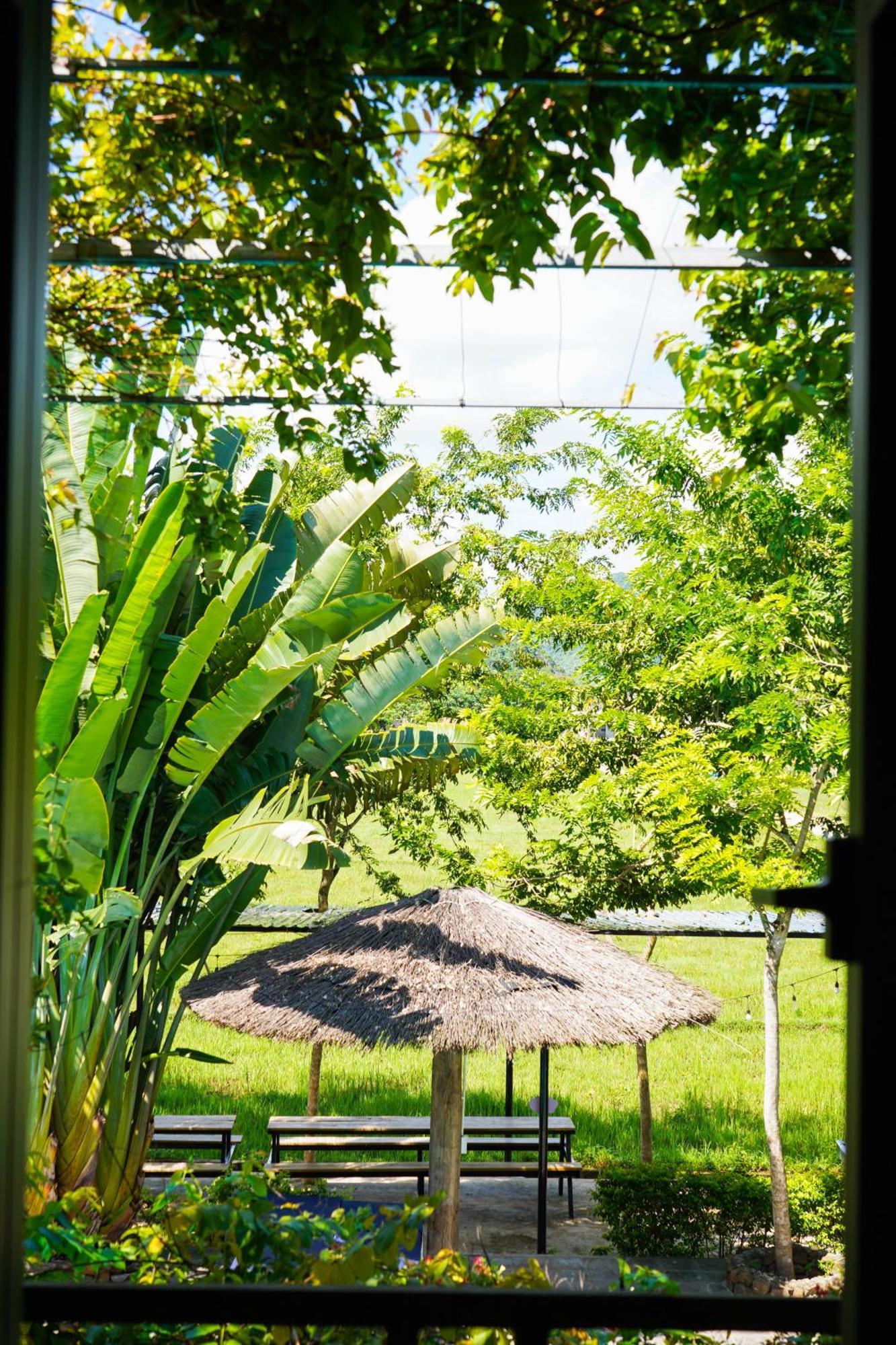 Jungle Boss Travel Lodge Phong Nha Exterior foto