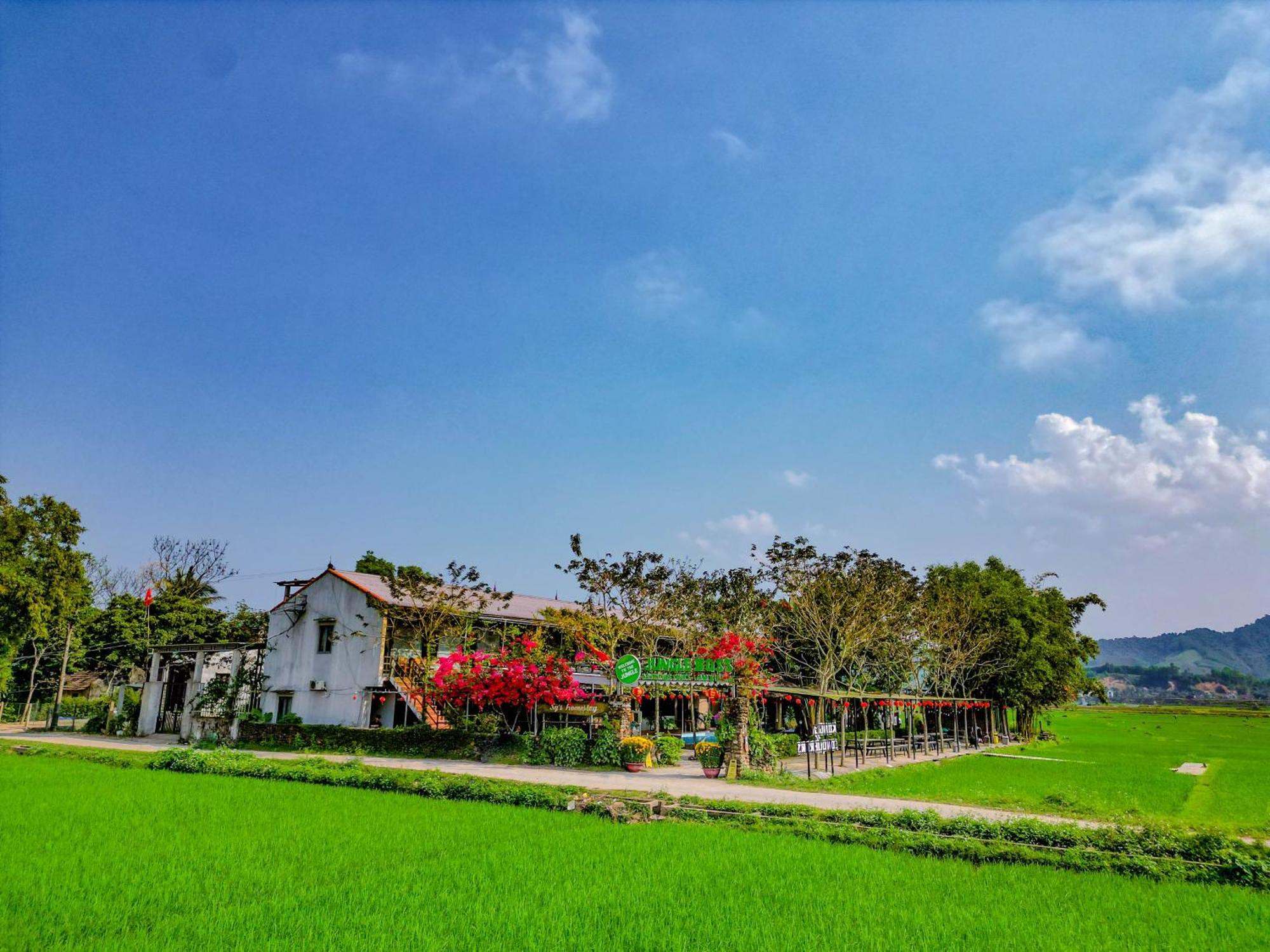 Jungle Boss Travel Lodge Phong Nha Exterior foto