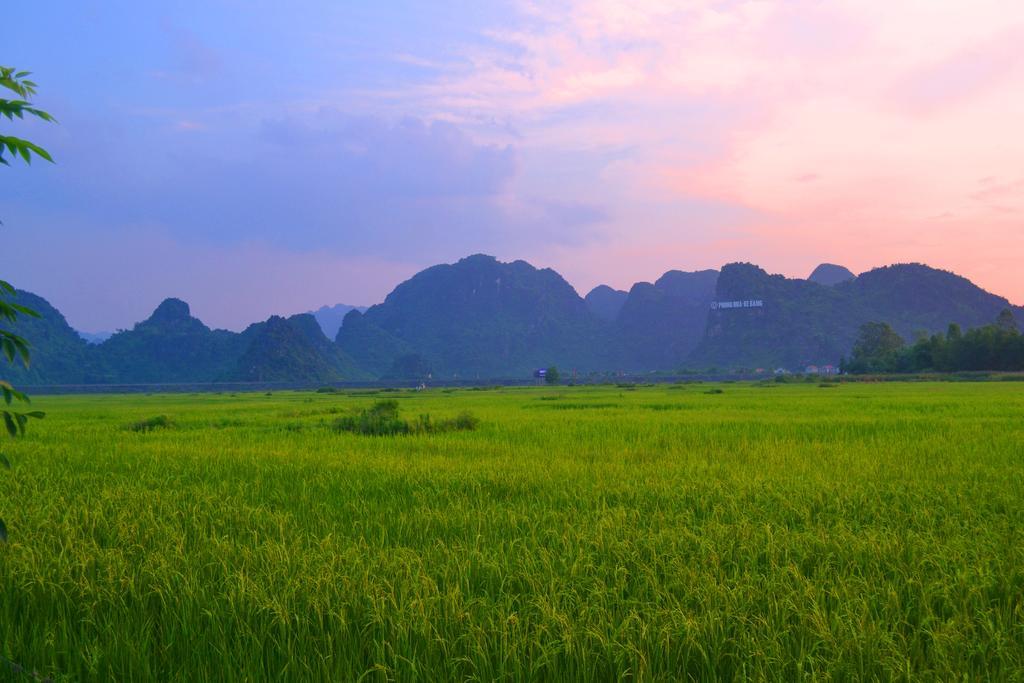 Jungle Boss Travel Lodge Phong Nha Exterior foto
